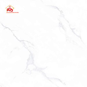 Gạch Viglacera 80x80cm