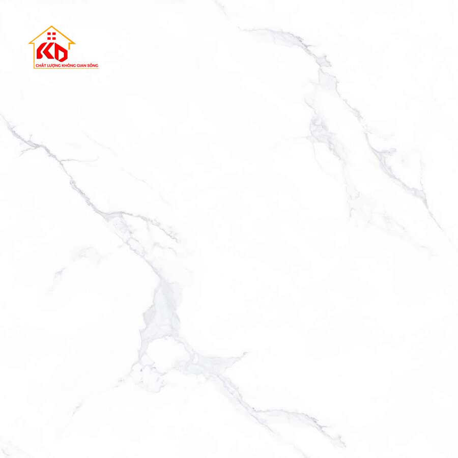 Gạch Viglacera 80x80cm