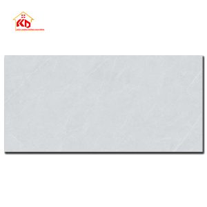 Gạch Viglacera 60x120cm