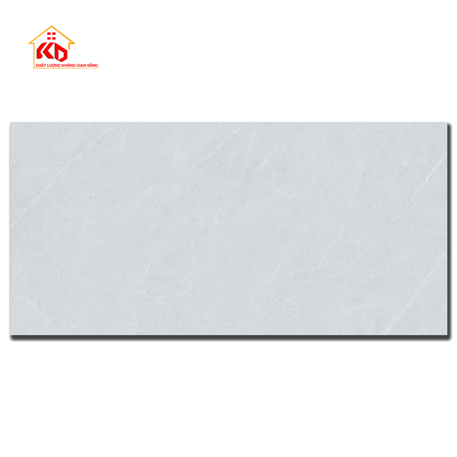 Gạch Viglacera 60x120cm
