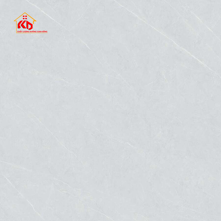 Gạch Viglacera 80x80cm