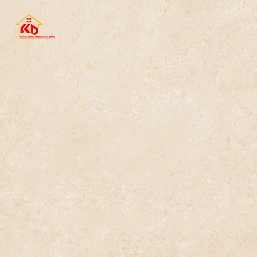 Gạch Viglacera 80x80cm