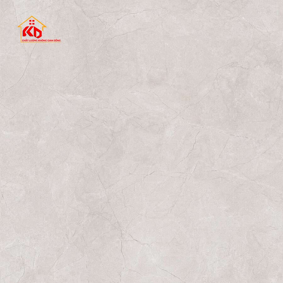 Gạch Viglacera 60x60cm CA1-GM6601