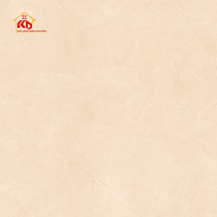 Gạch Viglacera 60x60cm CA1-GM6602