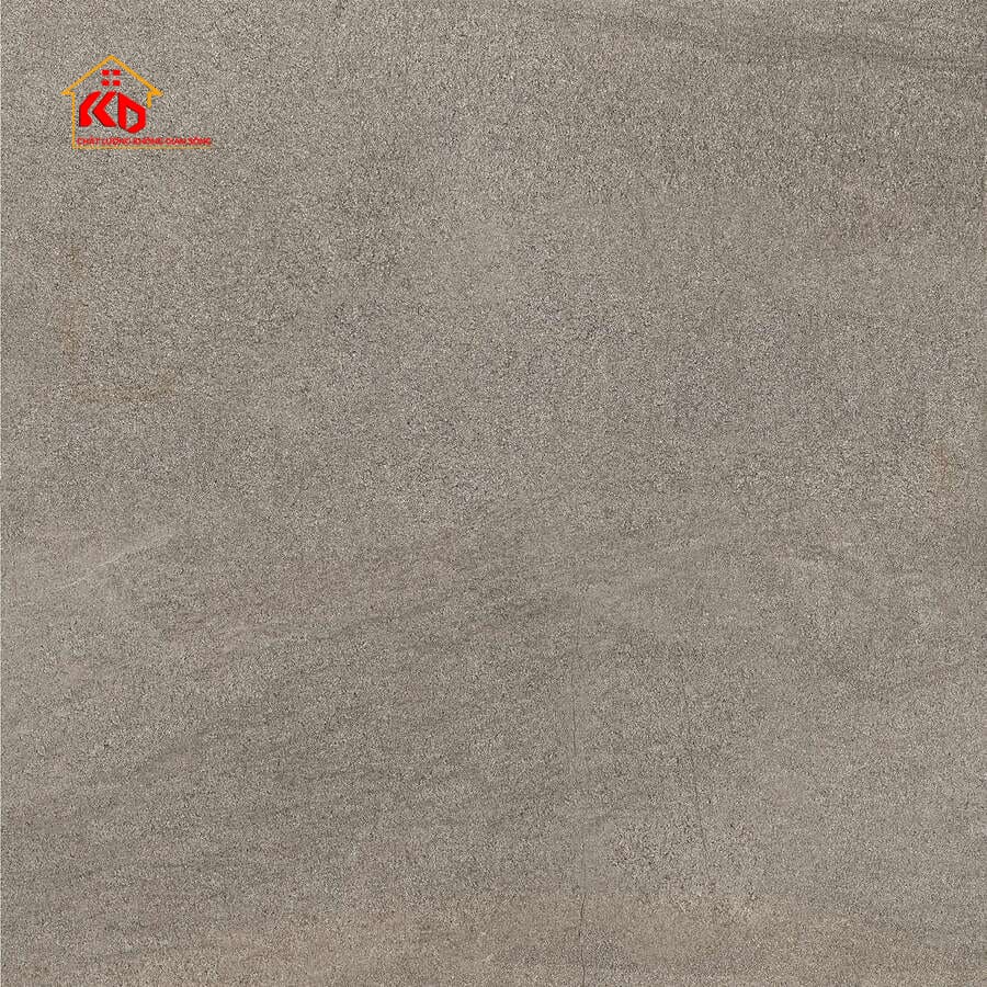 Gạch Viglacera 60x60cm FL2 GM6602