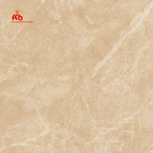 Gạch Viglacera 80x80cm