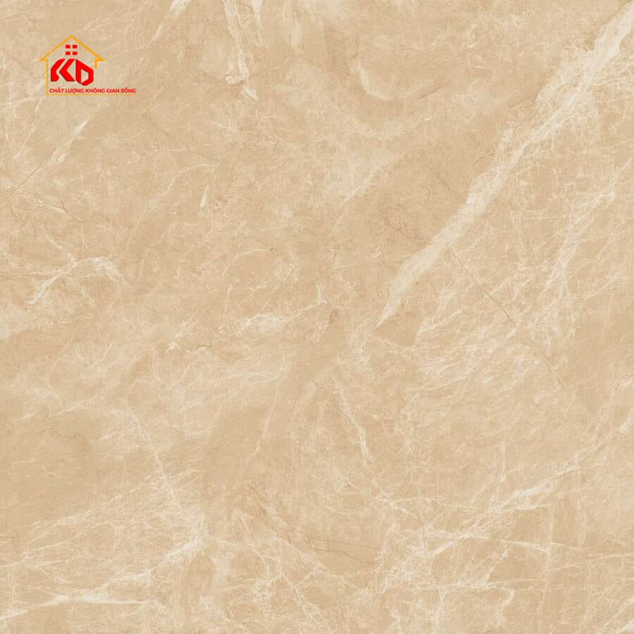 Gạch Viglacera 80x80cm