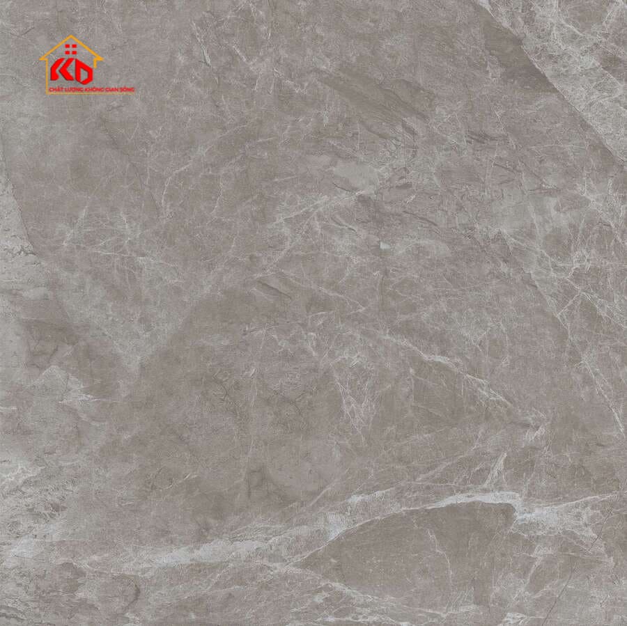 Gạch Viglacera 80x80cm