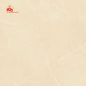 Gạch Viglacera 60x60cm