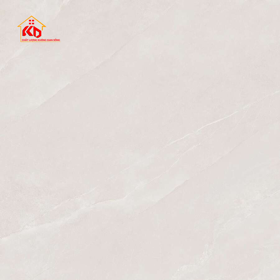 Gạch Viglacera 80x80cm
