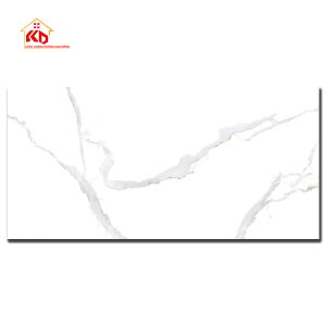 Gạch Viglacera 60x120cm