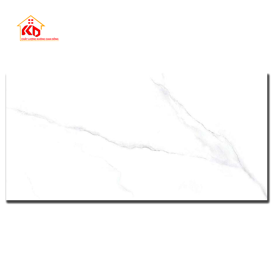 Gạch Viglacera 60x120cm