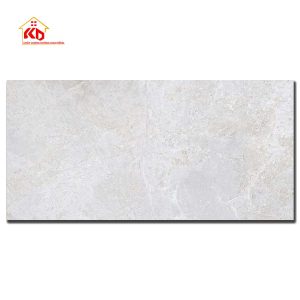 Gạch Viglacera 60x120cm