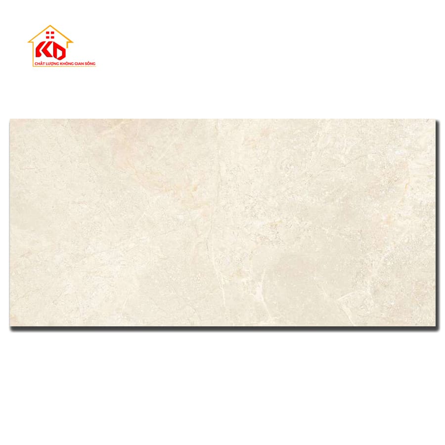 Gạch Viglacera 60x120cm NY16 GP61202