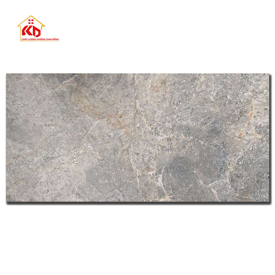 Gạch Viglacera 60x120cm NY16 GP61203