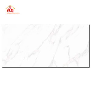Gạch Viglacera 60x120cm