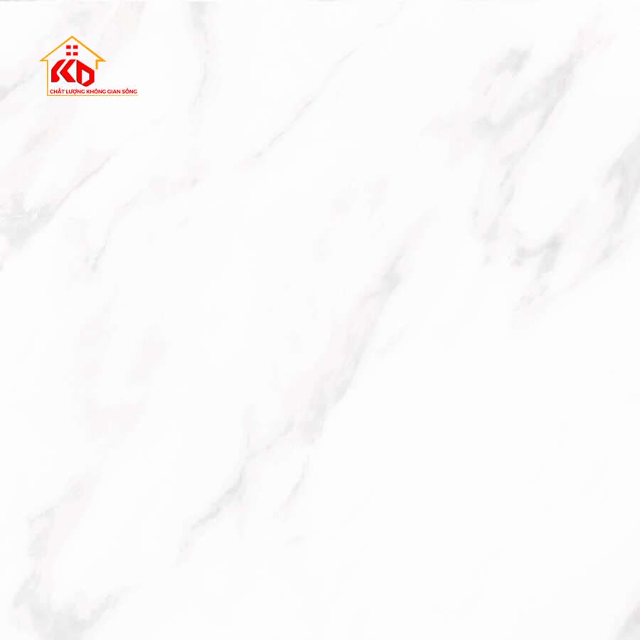 Gạch Viglacera 60x60cm NY5 GP6601