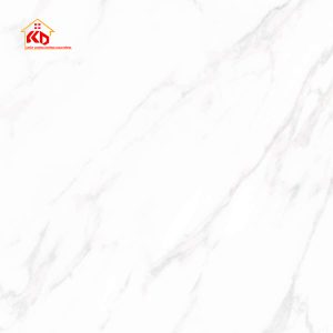 Gạch Viglacera 80x80cm