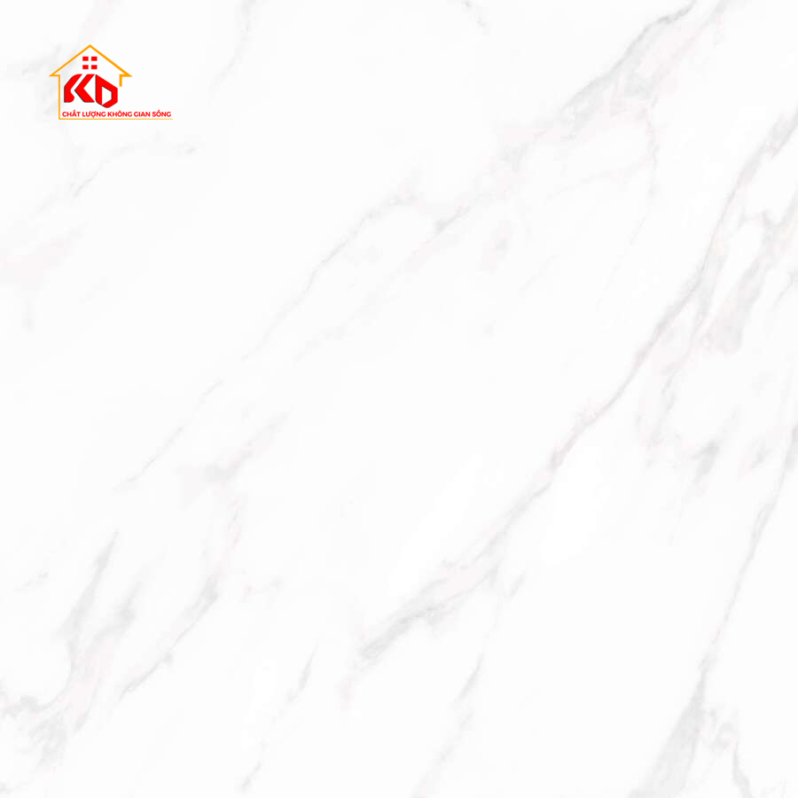 Gạch Viglacera 80x80cm