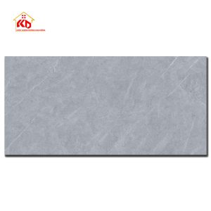 Gạch Viglacera 60x120cm