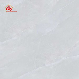 Gạch Viglacera 80x80cm