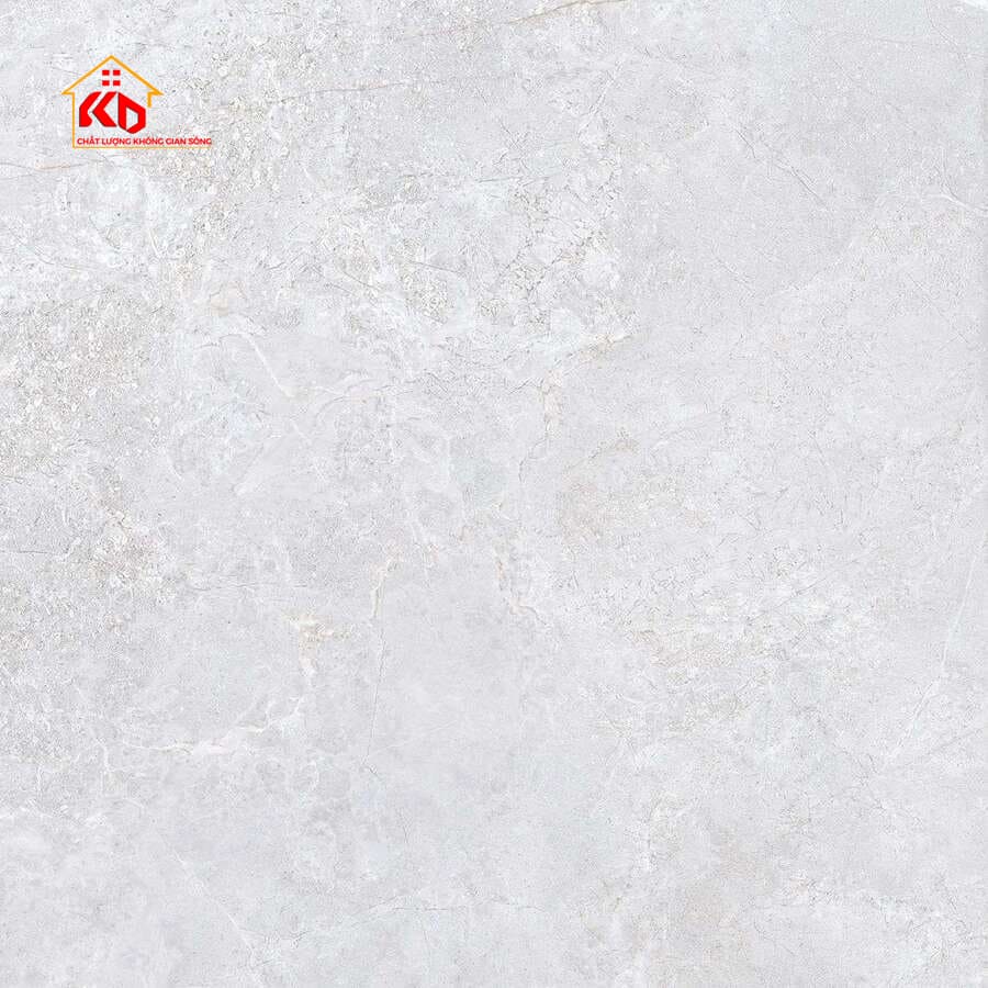 Gạch Viglacera 80x80cm