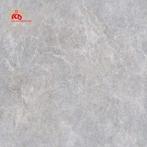 Gạch Viglacera 80x80cm