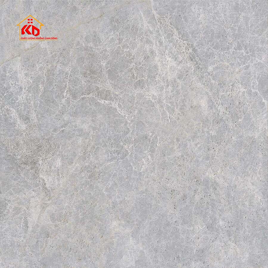 Gạch Viglacera 80x80cm