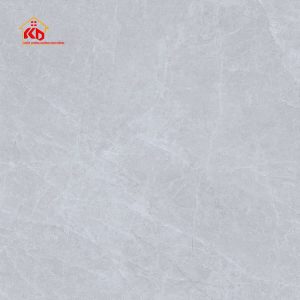 Gạch Viglacera 80x80cm