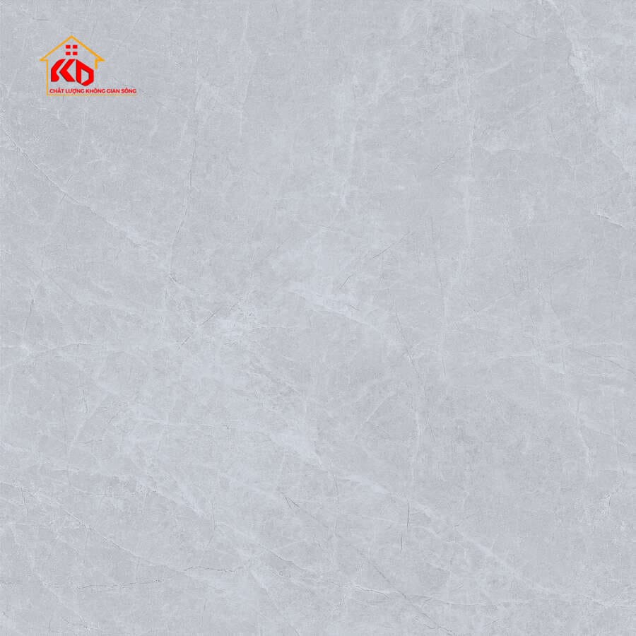 Gạch Viglacera 80x80cm