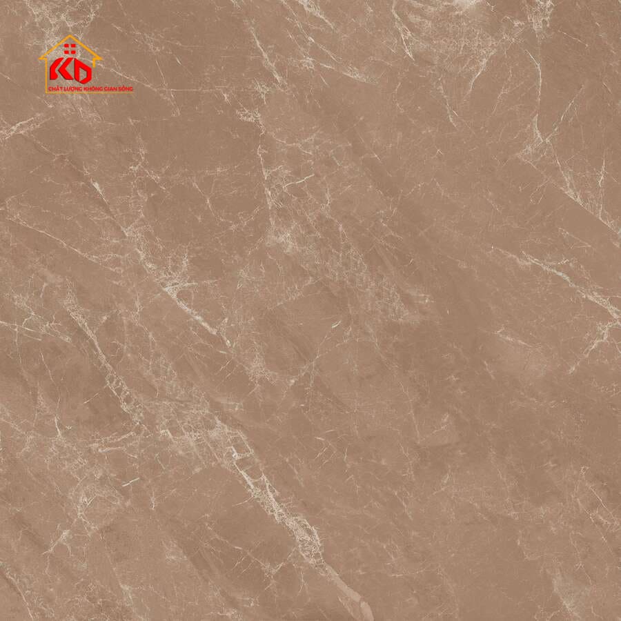 Gạch Viglacera 30x30cm