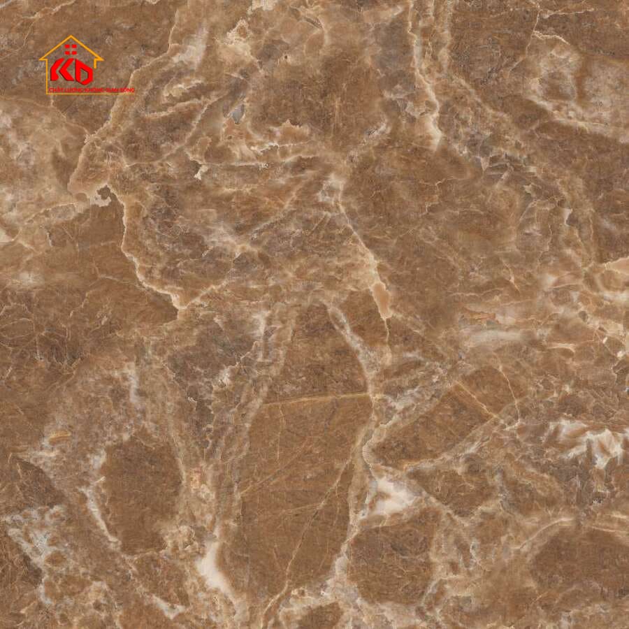 Gạch Viglacera 50x50cm SH-CE502