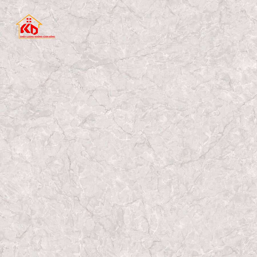 Gạch Viglacera 50x50cm SH-CE503