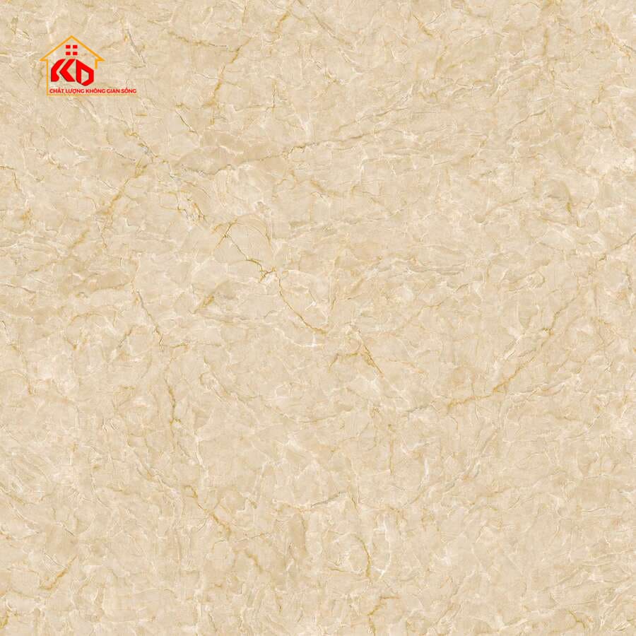 Gạch Viglacera 50x50cm SH-CE504