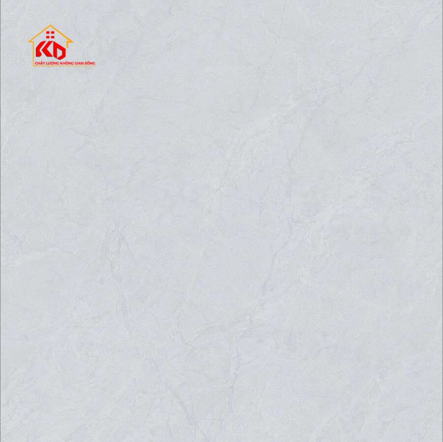 Gạch Viglacera 60x60cm SH-GM6658