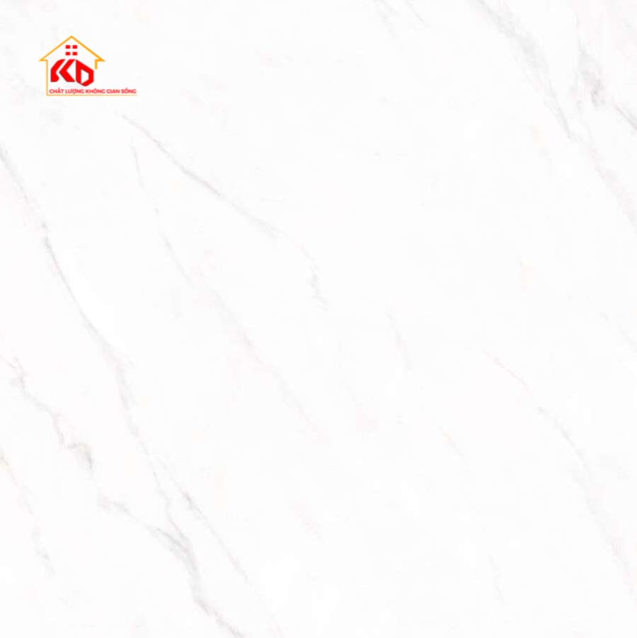 Gạch Viglacera 60x60cm