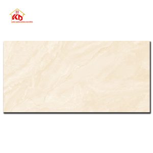 Gạch Viglacera 60x120cm