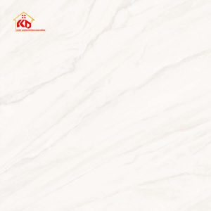 Gạch Viglacera 60x60cm