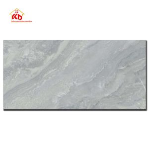 Gạch Viglacera 30x60cm SHGP3602
