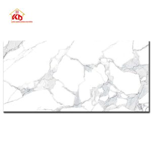 Gạch Viglacera 80x160cm