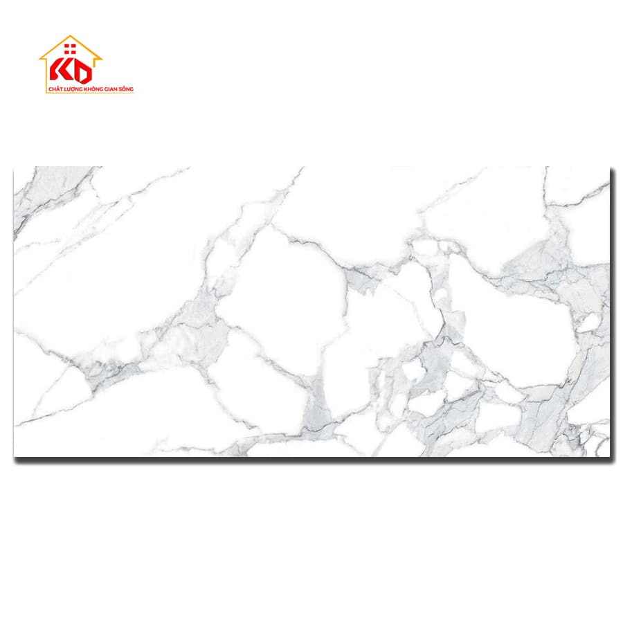 Gạch Viglacera 80x160cm