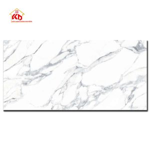 Gạch Viglacera 80x160cm