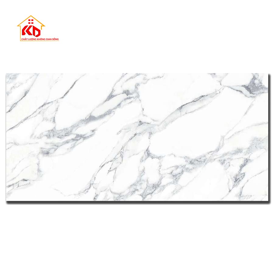 Gạch Viglacera 80x160cm