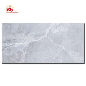 Gạch Viglacera 80x160cm