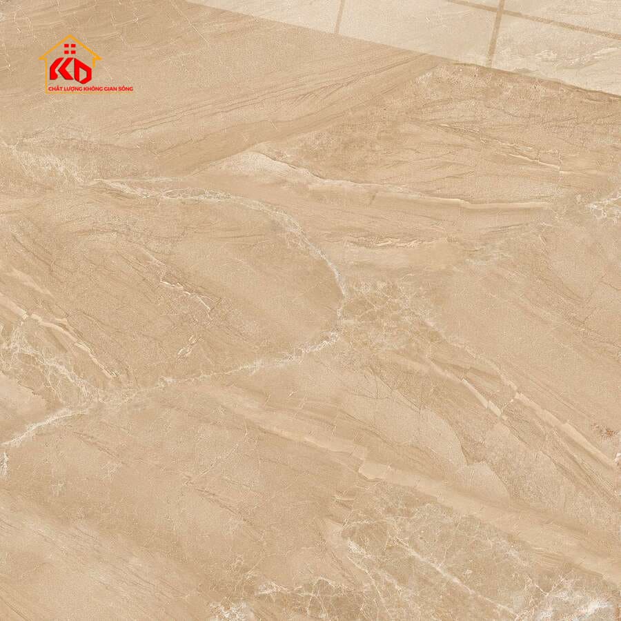 Gạch Viglacera 50x50cm SH-CE506