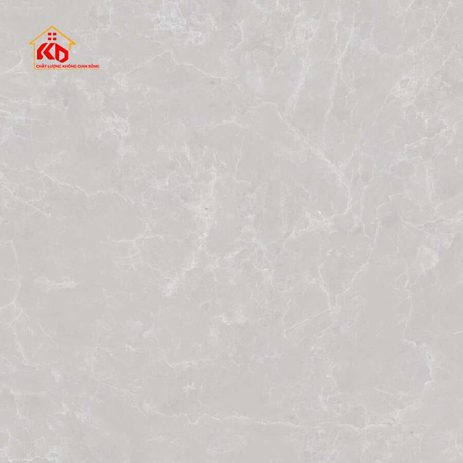 Gạch Viglacera 50x50cm SH-CE507