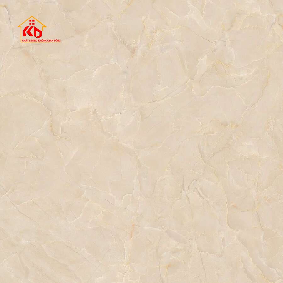 Gạch Viglacera 50x50cm SH-CE508