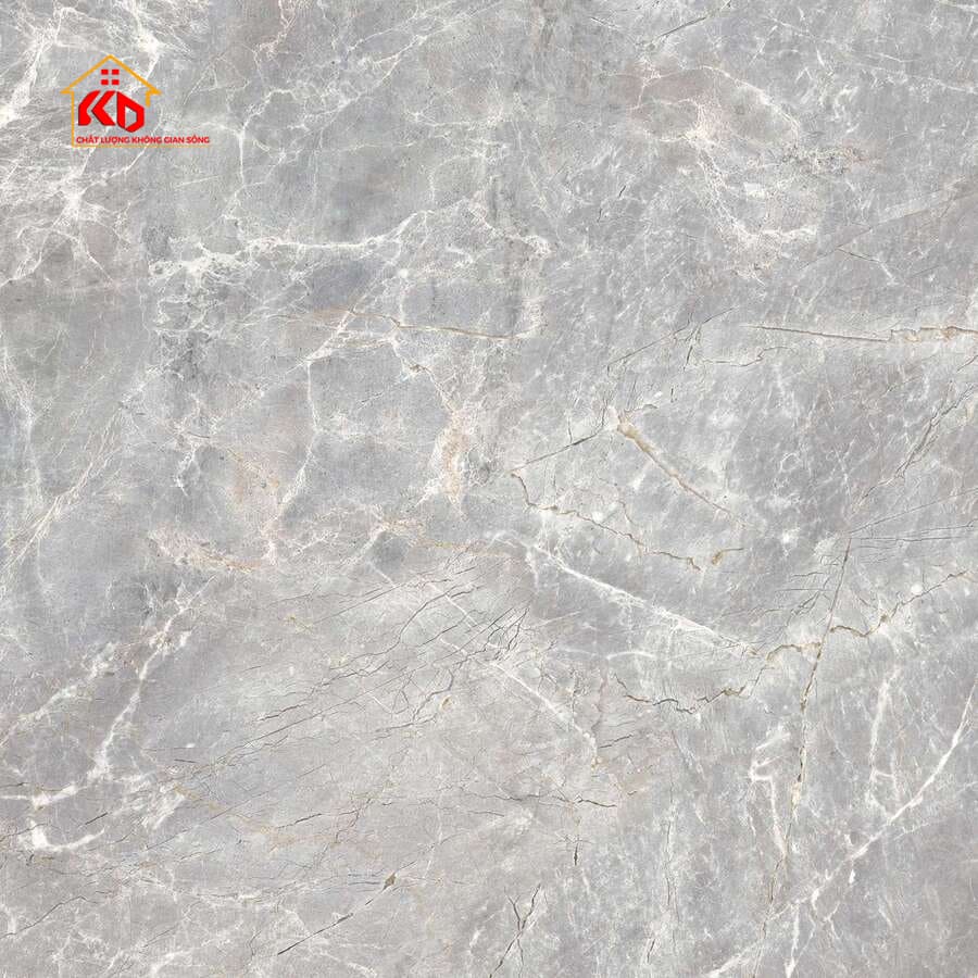 Gạch Viglacera 50x50cm SH-CE509
