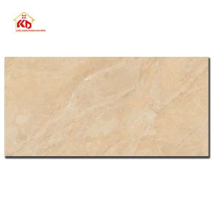 Gạch Viglacera 60x120cm