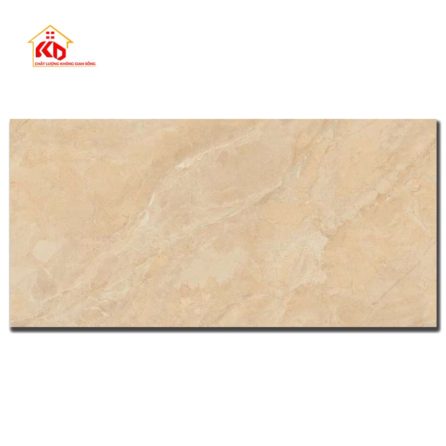 Gạch Viglacera 60x120cm